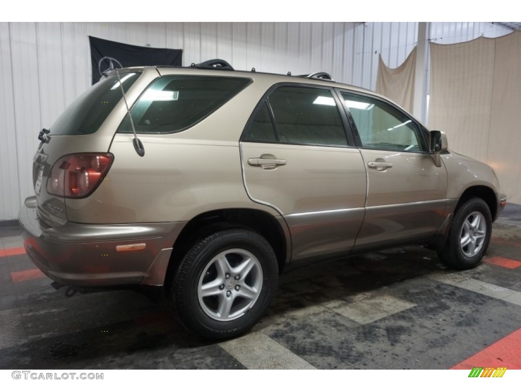 1999 RX 300 AWD - Burnished Gold Metallic / Ivory photo #7