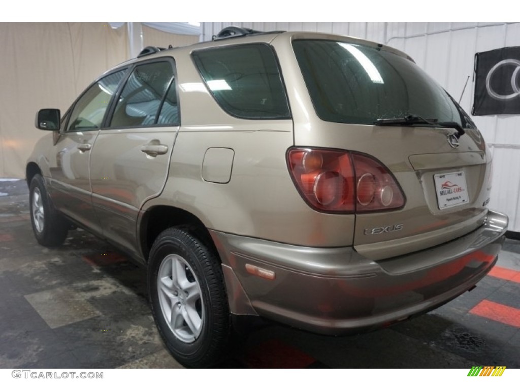 1999 RX 300 AWD - Burnished Gold Metallic / Ivory photo #10