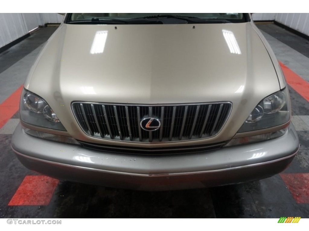 1999 RX 300 AWD - Burnished Gold Metallic / Ivory photo #53