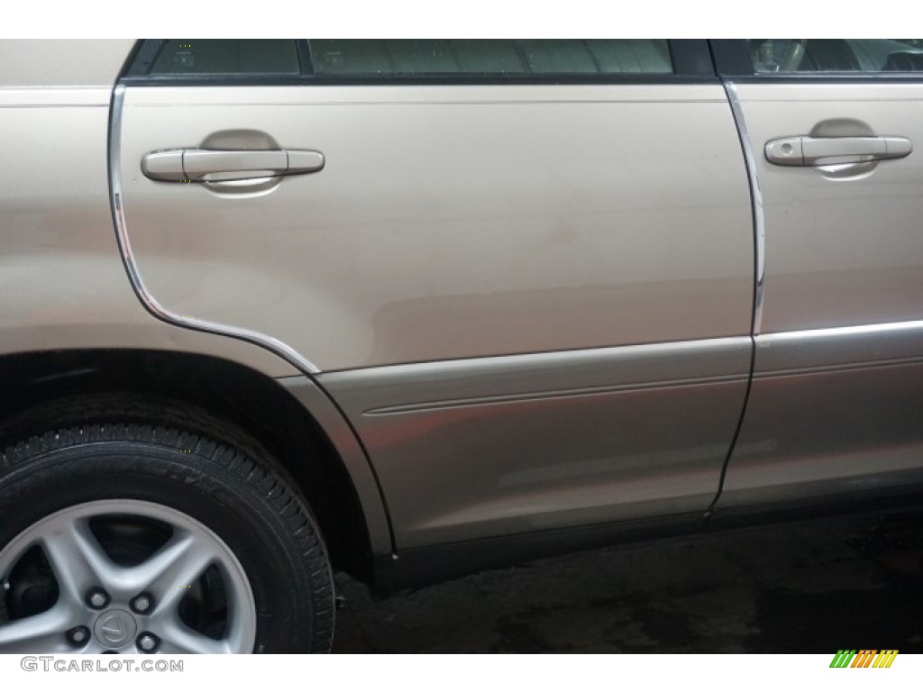 1999 RX 300 AWD - Burnished Gold Metallic / Ivory photo #62