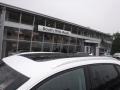 Ibis White - Q5 2.0 TFSI Premium Plus quattro Photo No. 5