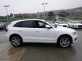 Ibis White - Q5 2.0 TFSI Premium Plus quattro Photo No. 11