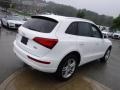 Ibis White - Q5 2.0 TFSI Premium Plus quattro Photo No. 12