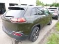 Recon Green - Cherokee 75th Anniversary Edition 4x4 Photo No. 7