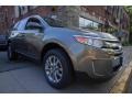 2013 Mineral Gray Metallic Ford Edge SEL AWD  photo #8