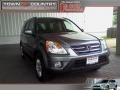 2005 Pewter Pearl Honda CR-V Special Edition 4WD  photo #1