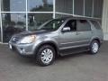 2005 Pewter Pearl Honda CR-V Special Edition 4WD  photo #3
