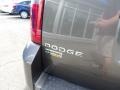 2010 Dark Titanium Metallic Dodge Grand Caravan SE  photo #10