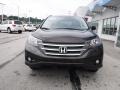 Kona Coffee Metallic - CR-V EX-L AWD Photo No. 5