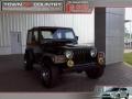 Moss Green Pearl - Wrangler SE 4x4 Photo No. 1