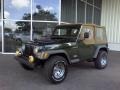 Moss Green Pearl - Wrangler SE 4x4 Photo No. 3