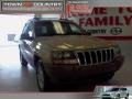 Champagne Pearlcoat - Grand Cherokee Laredo Photo No. 1