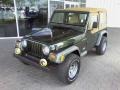 Moss Green Pearl - Wrangler SE 4x4 Photo No. 19