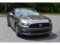 Magnetic - Mustang EcoBoost Premium Coupe Photo No. 1