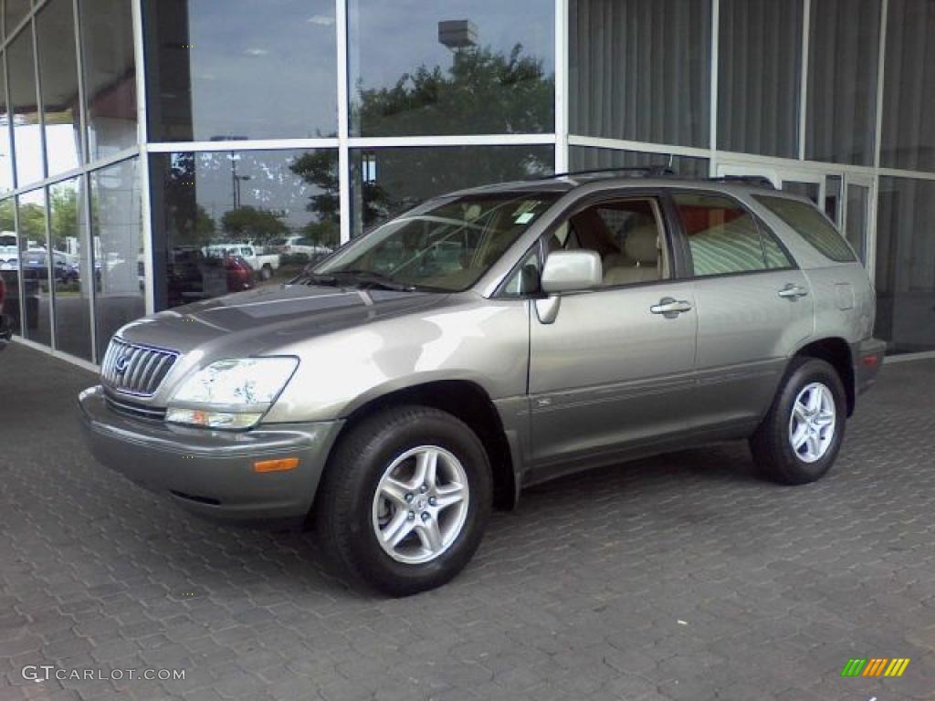 2003 RX 300 - Burnished Gold Metallic / Ivory photo #3