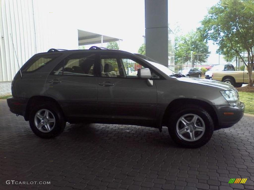 2003 RX 300 - Burnished Gold Metallic / Ivory photo #4
