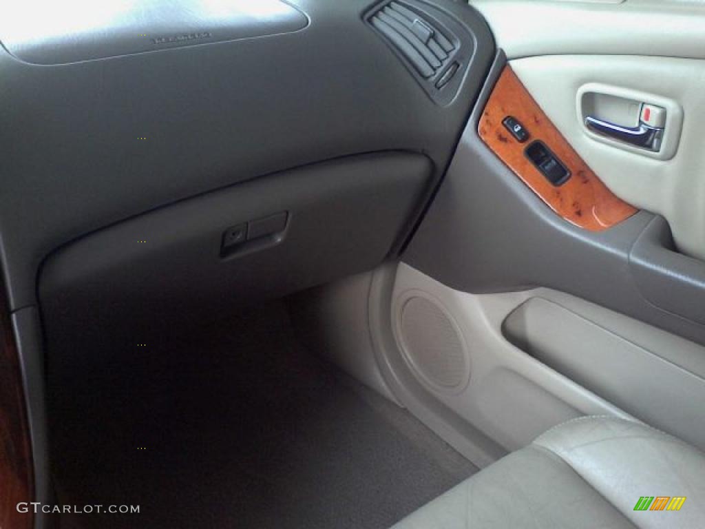 2003 RX 300 - Burnished Gold Metallic / Ivory photo #11