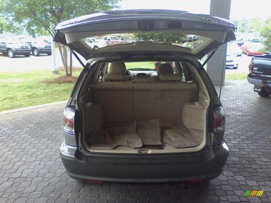 2003 RX 300 - Burnished Gold Metallic / Ivory photo #18