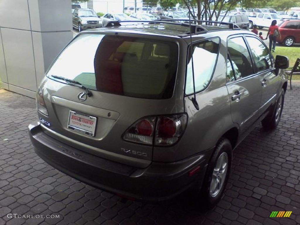 2003 RX 300 - Burnished Gold Metallic / Ivory photo #19