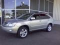 Bamboo Green Pearl - RX 350 Photo No. 3