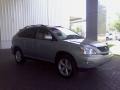 Bamboo Green Pearl - RX 350 Photo No. 4