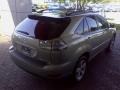 Bamboo Green Pearl - RX 350 Photo No. 19