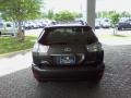 2008 Flint Mica Lexus RX 350  photo #5