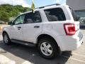 2010 White Suede Ford Escape XLT V6 4WD  photo #2