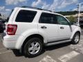 2010 White Suede Ford Escape XLT V6 4WD  photo #6