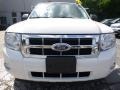 2010 White Suede Ford Escape XLT V6 4WD  photo #8