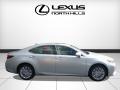 Silver Lining Metallic - ES 350 Photo No. 2
