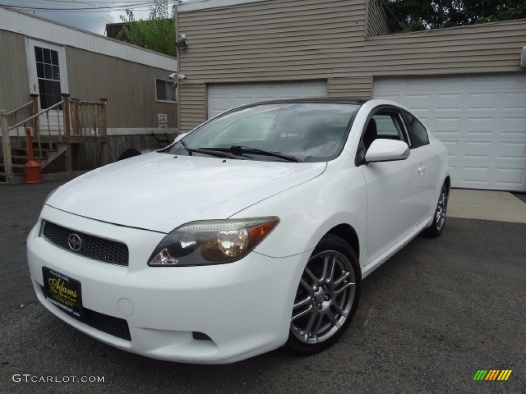 Blizzard Pearl Scion tC