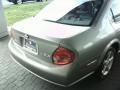 Sterling Mist Metallic - Maxima GLE Photo No. 20