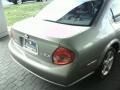 Sterling Mist Metallic - Maxima GLE Photo No. 43