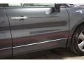 Carbon Gray Pearl - RDX  Photo No. 65