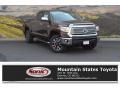 Sunset Bronze Mica 2016 Toyota Tundra Limited Double Cab 4x4