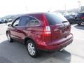 Tango Red Pearl - CR-V SE 4WD Photo No. 7