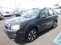 2017 Dark Gray Metallic Subaru Forester 2.5i  photo #11