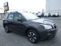 Dark Gray Metallic - Forester 2.5i Photo No. 1