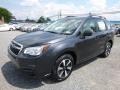 Dark Gray Metallic - Forester 2.5i Photo No. 11