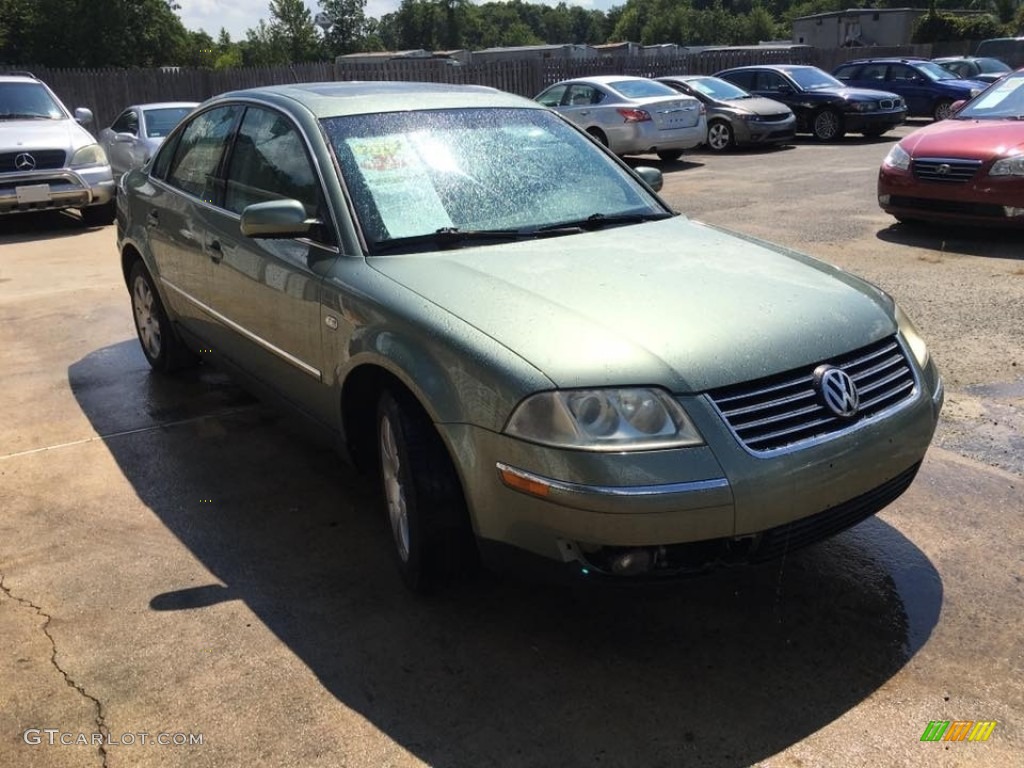 2002 Passat GLX 4Motion Sedan - Pine Green Metallic / Grey photo #8