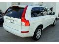 Ice White - XC90 3.2 Photo No. 9