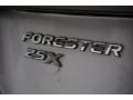2004 Platinum Silver Metallic Subaru Forester 2.5 X  photo #89