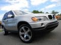 Titanium Silver Metallic - X5 3.0i Photo No. 2