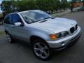 Titanium Silver Metallic - X5 3.0i Photo No. 3
