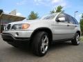 Titanium Silver Metallic - X5 3.0i Photo No. 6