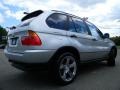 Titanium Silver Metallic - X5 3.0i Photo No. 10