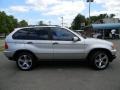 Titanium Silver Metallic - X5 3.0i Photo No. 11