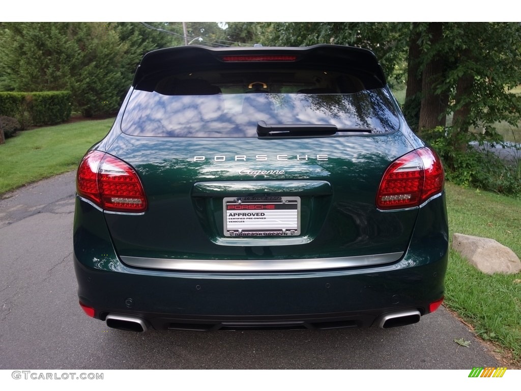 2014 Cayenne  - Jet Green Metallic / Luxor Beige photo #5