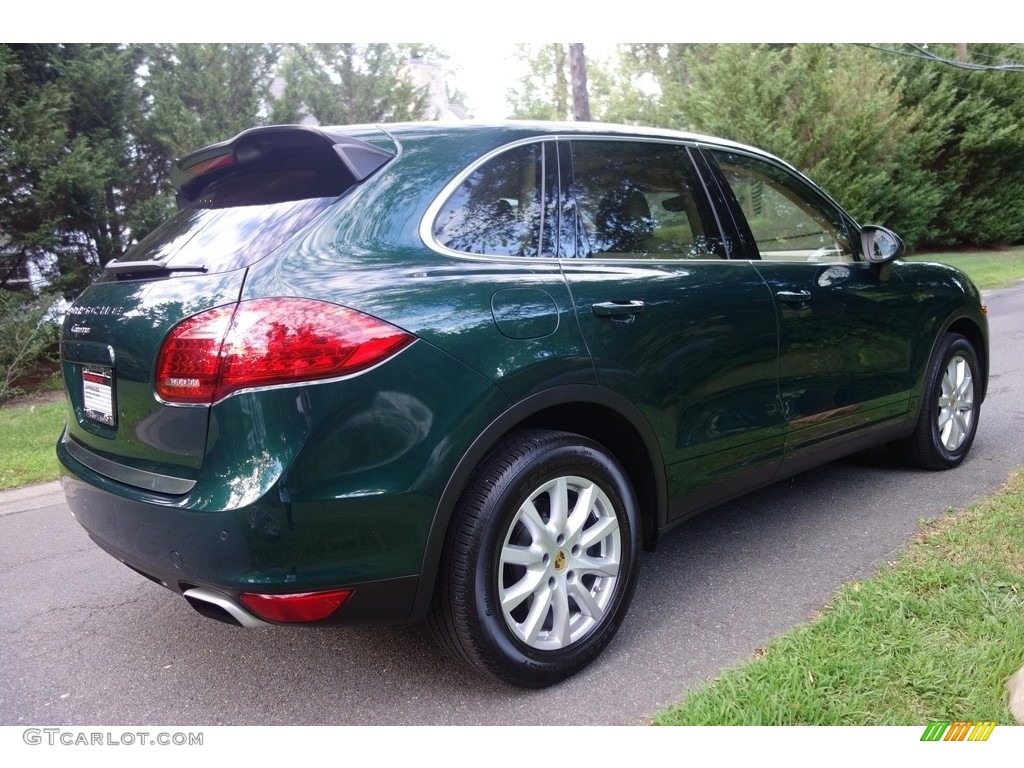2014 Cayenne  - Jet Green Metallic / Luxor Beige photo #6